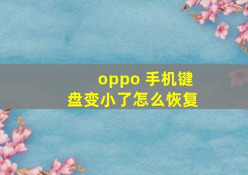 oppo 手机键盘变小了怎么恢复